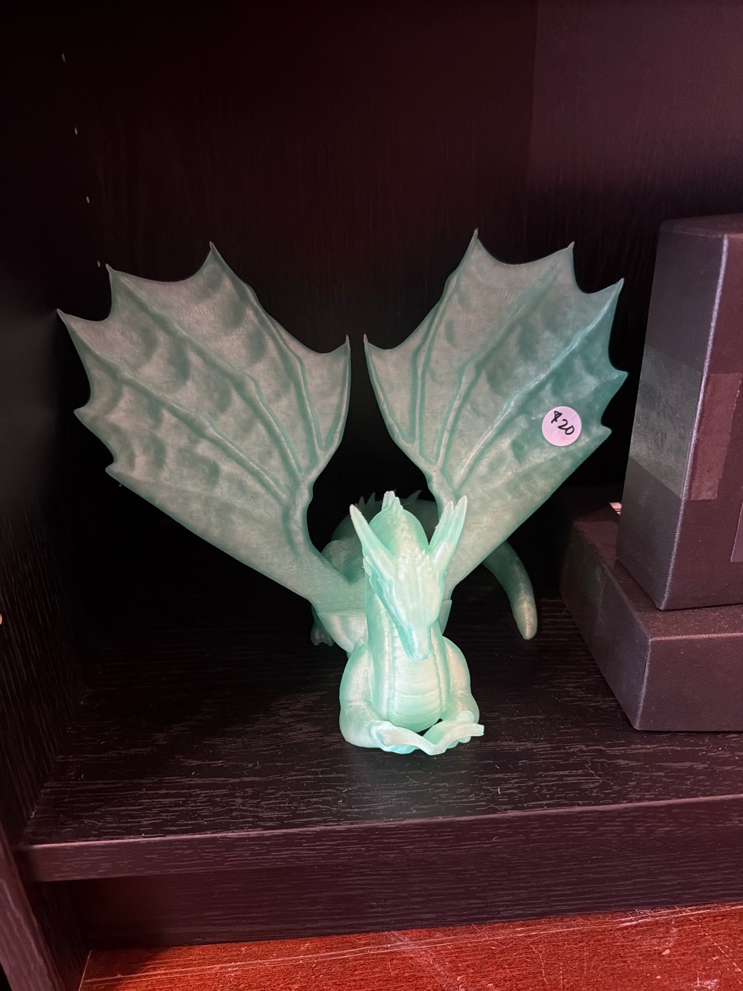 Book Holding Dragon 3D - Medium