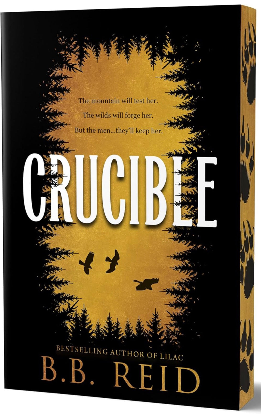 Crucible by BB Reid (Men of The Wilds Book 1)