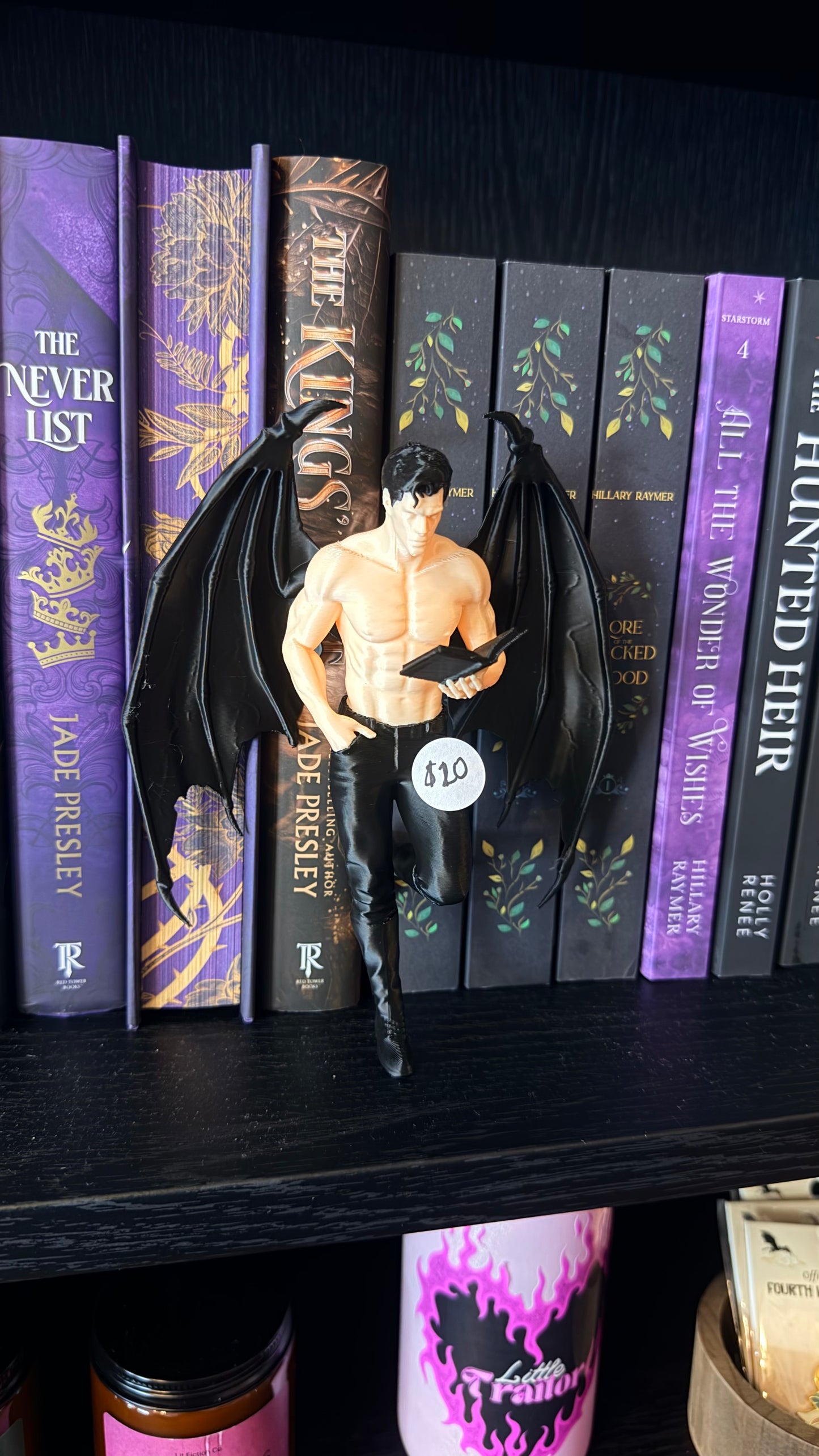 Winged book boyfriend 3D