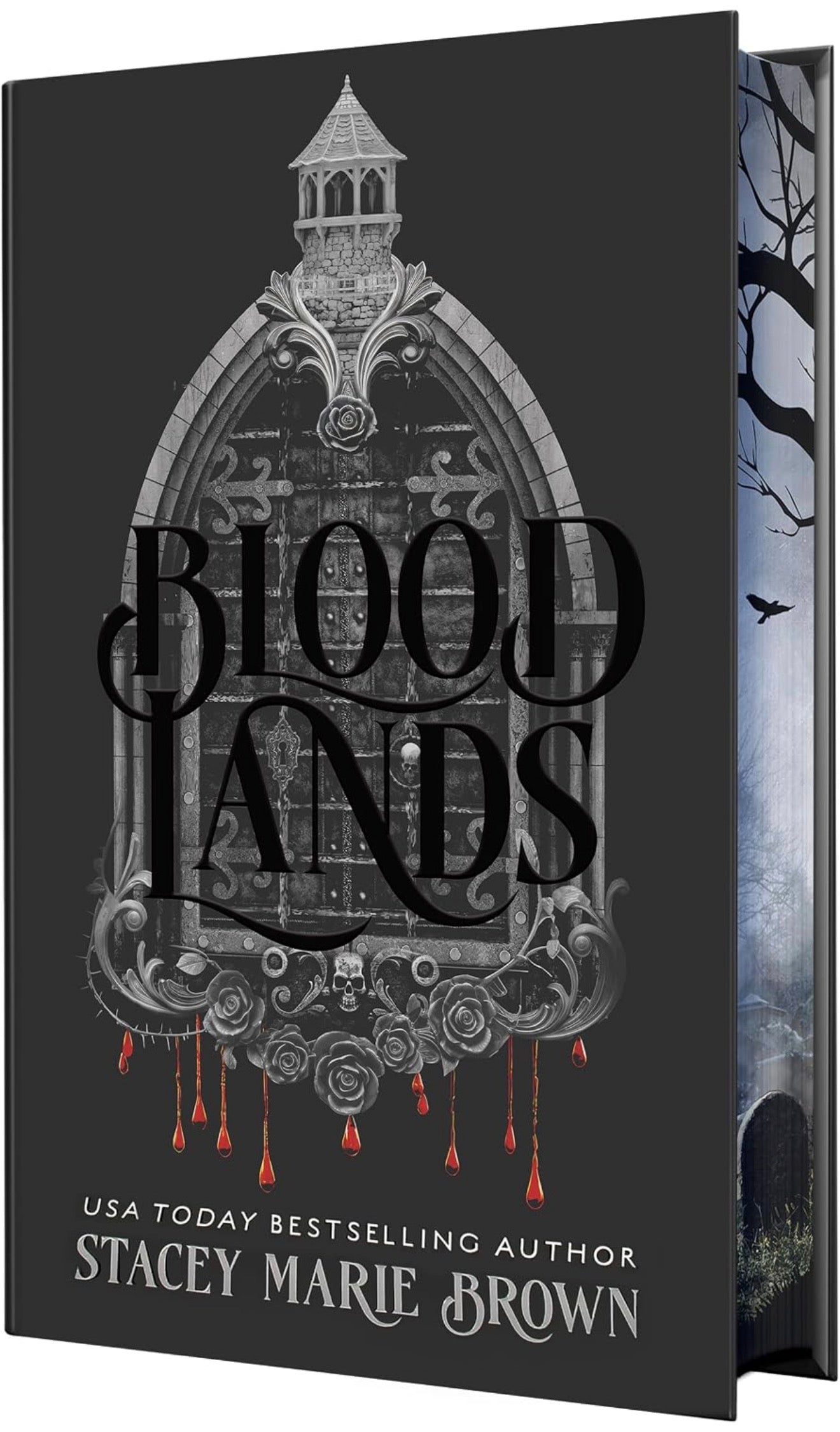 Blood Lands by Stacey Marie Brown (Savage Lands #5)