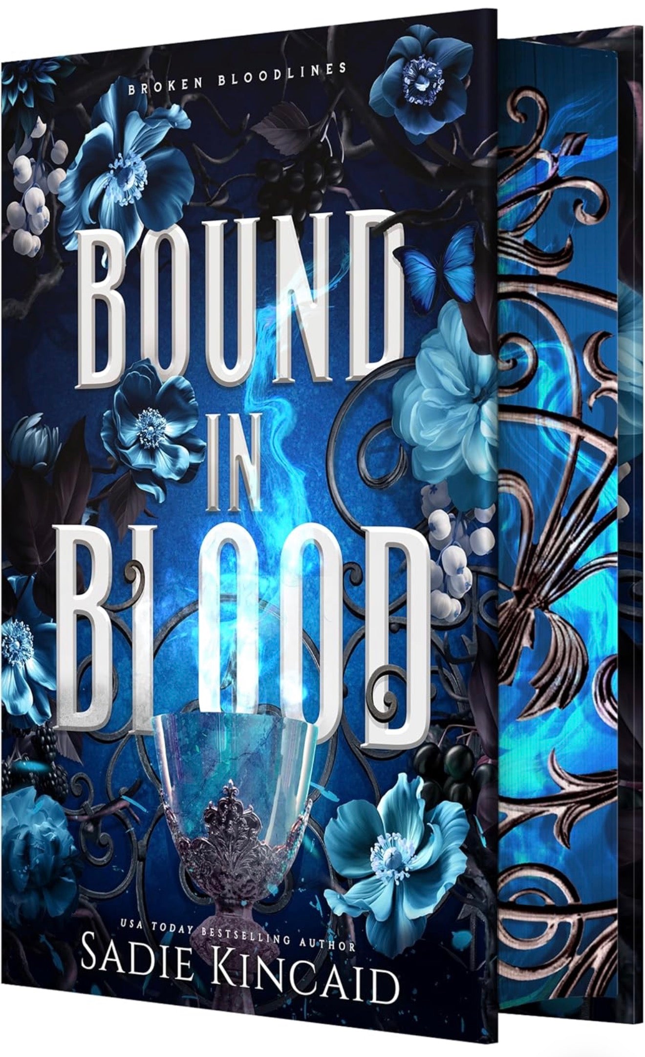 Bound In Blood by Sadie Kincaid (Broken Bloodlines #3)
