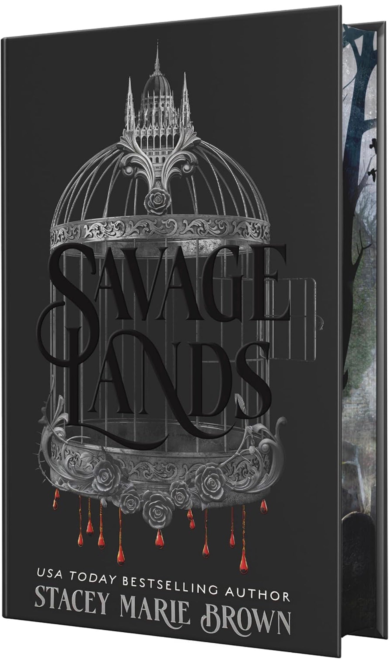 Savage Lands by Stacey Marie Brown (Savage Lands #1)