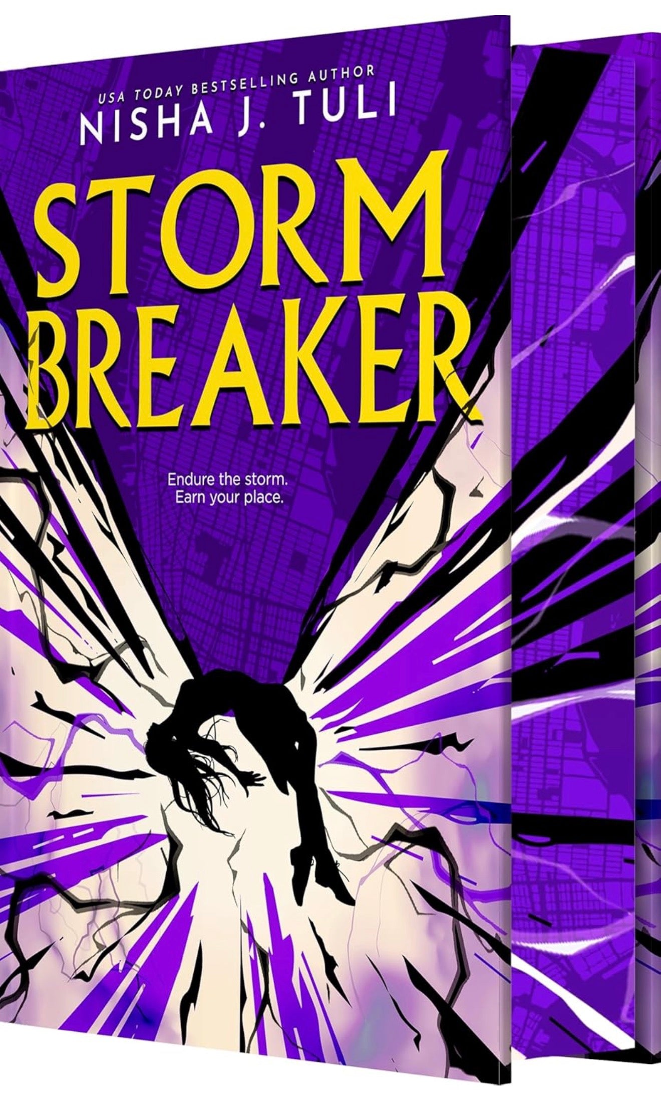 Storm Breaker by Nisha J Tuli (Deluxe Limited Edition
