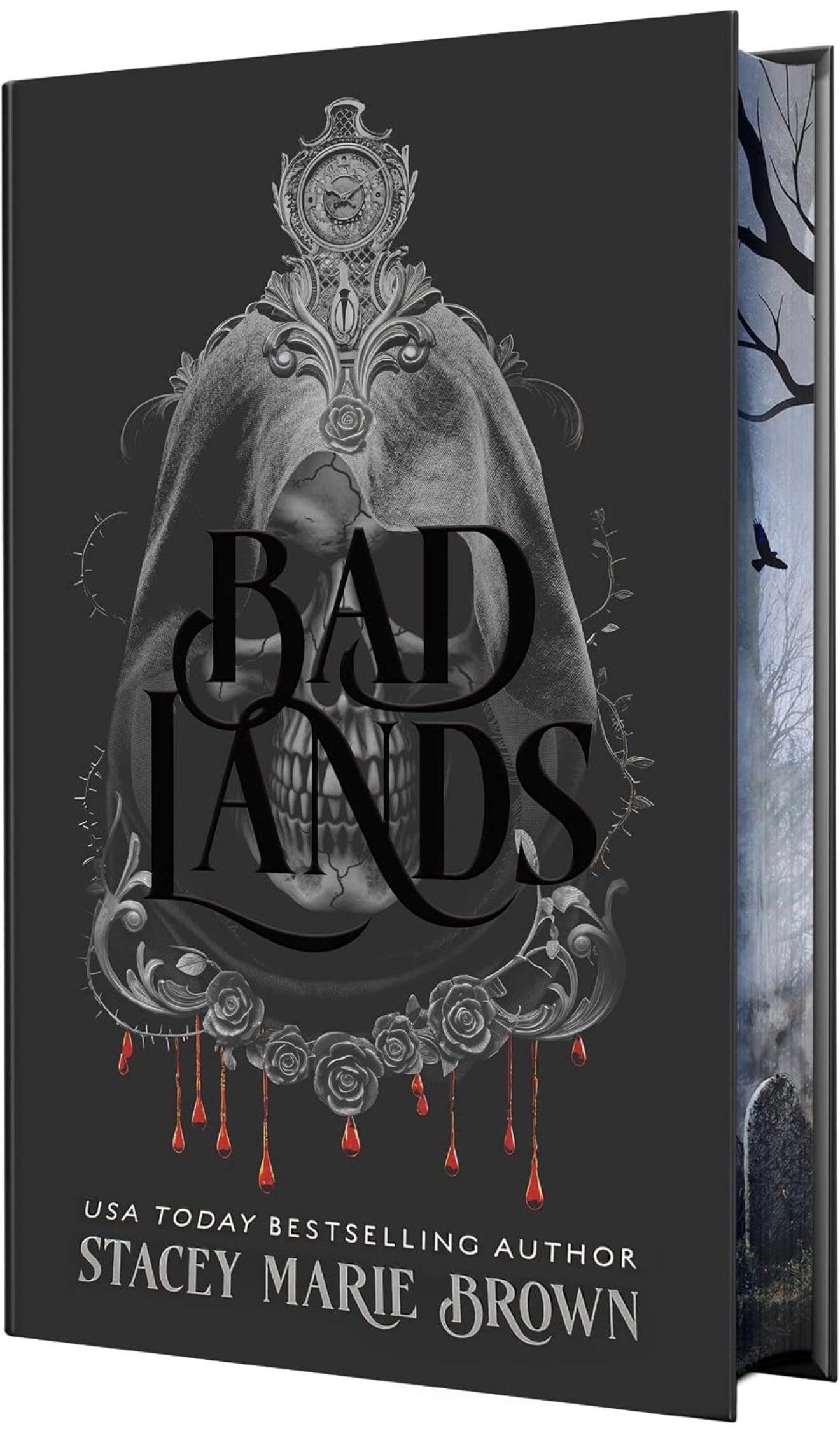Bad Lands by Stacey Marie Brown (Savage Lands #4)