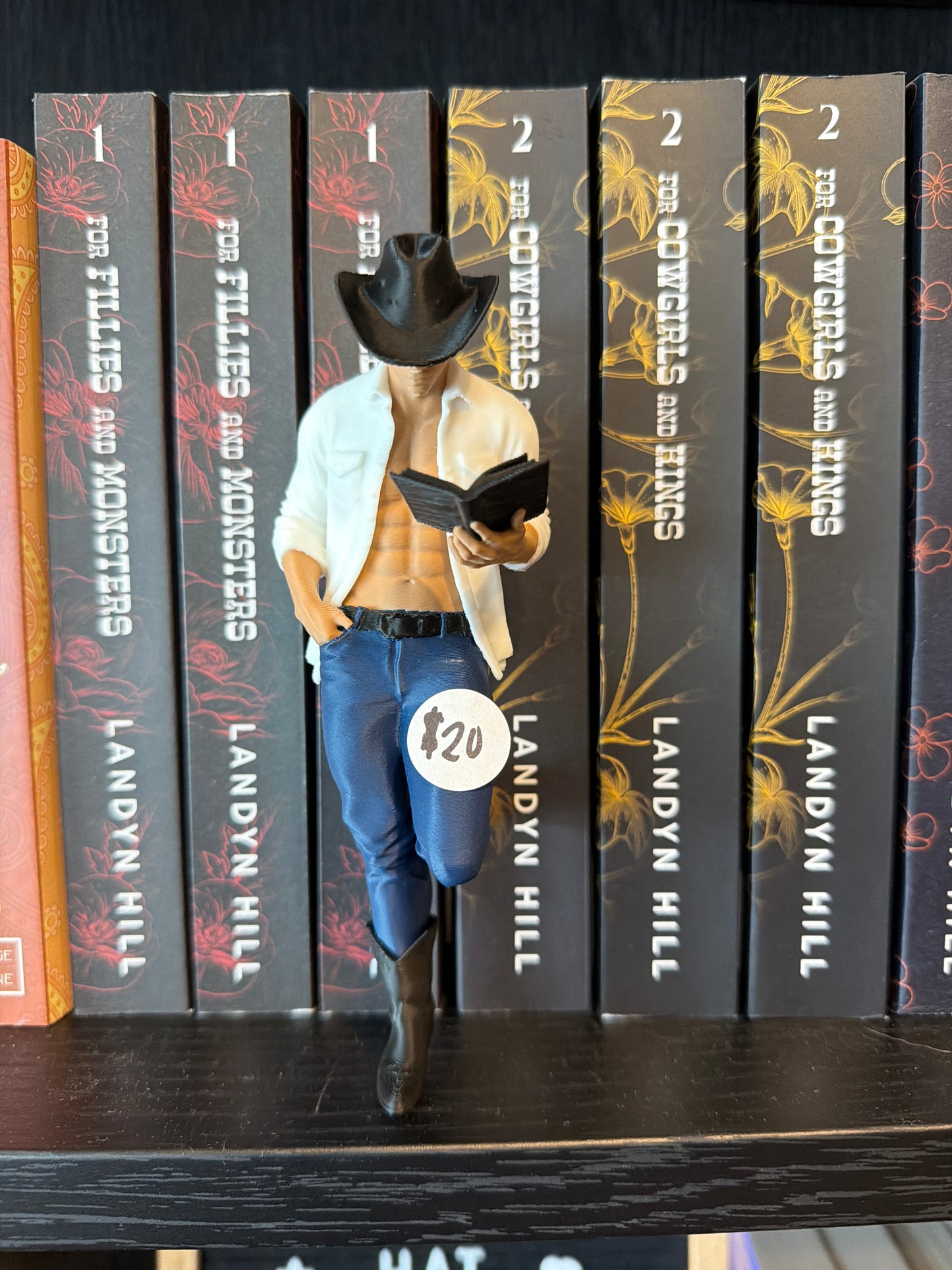 Cowboy Reader Hottie - 3D