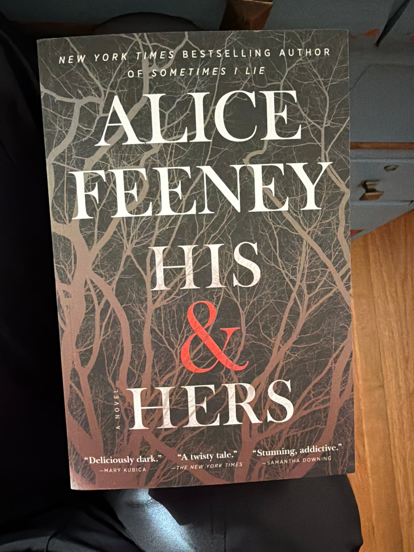His & Hers by Alice Feeney