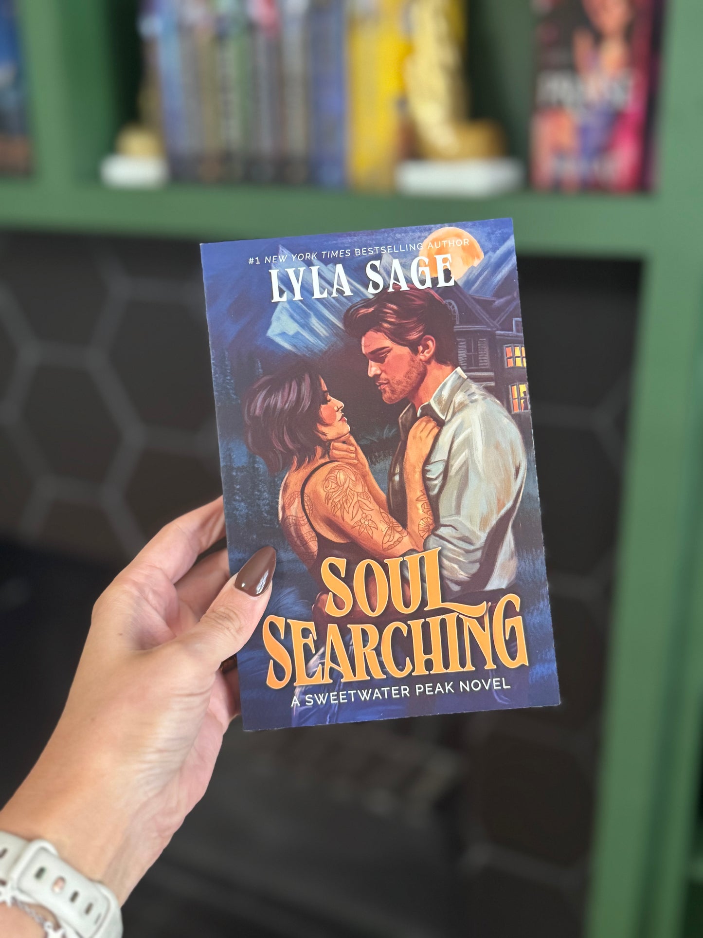 Soul Searching by Lyla Sage
