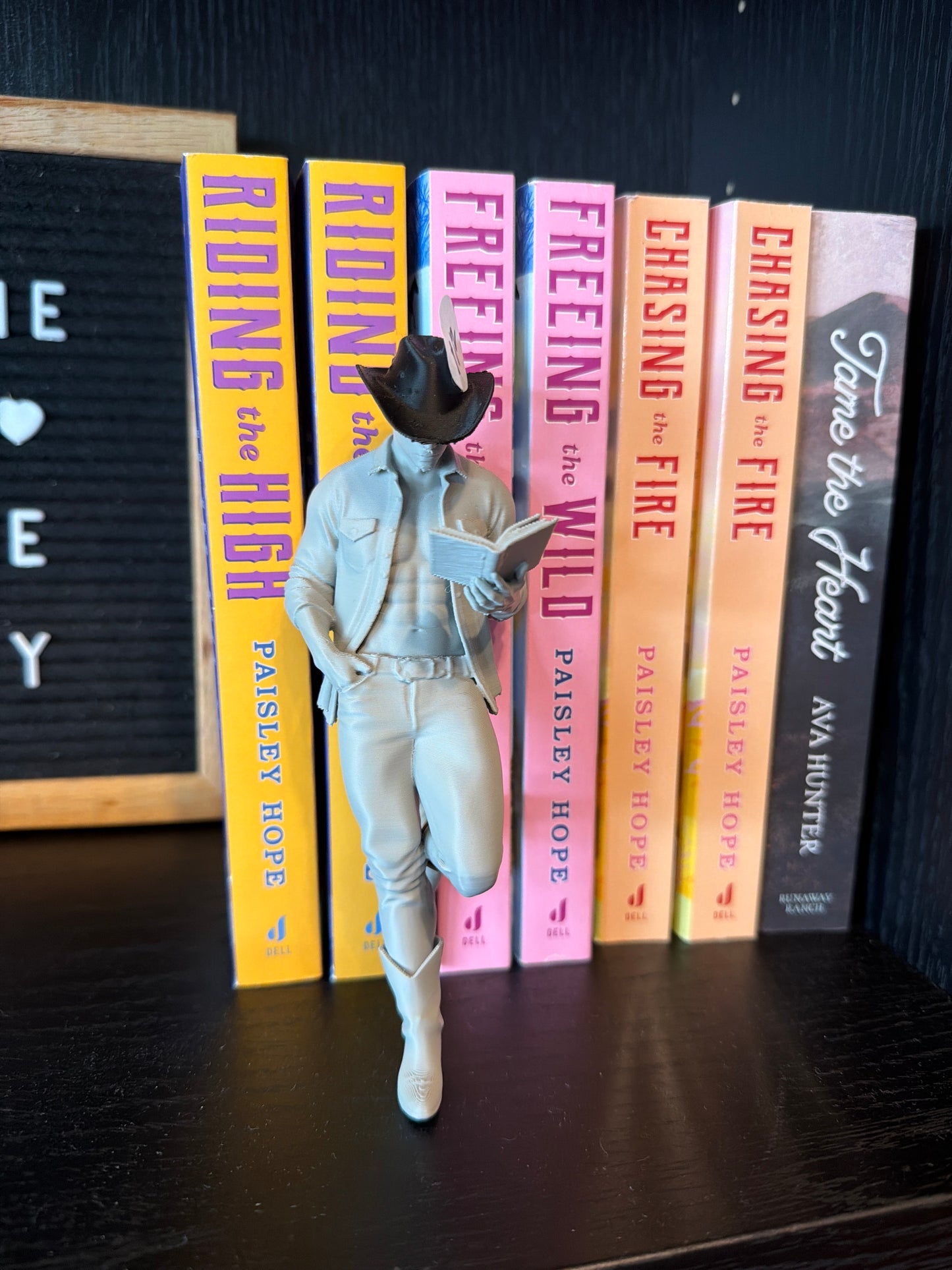 Cowboy Reader Hottie - 3D