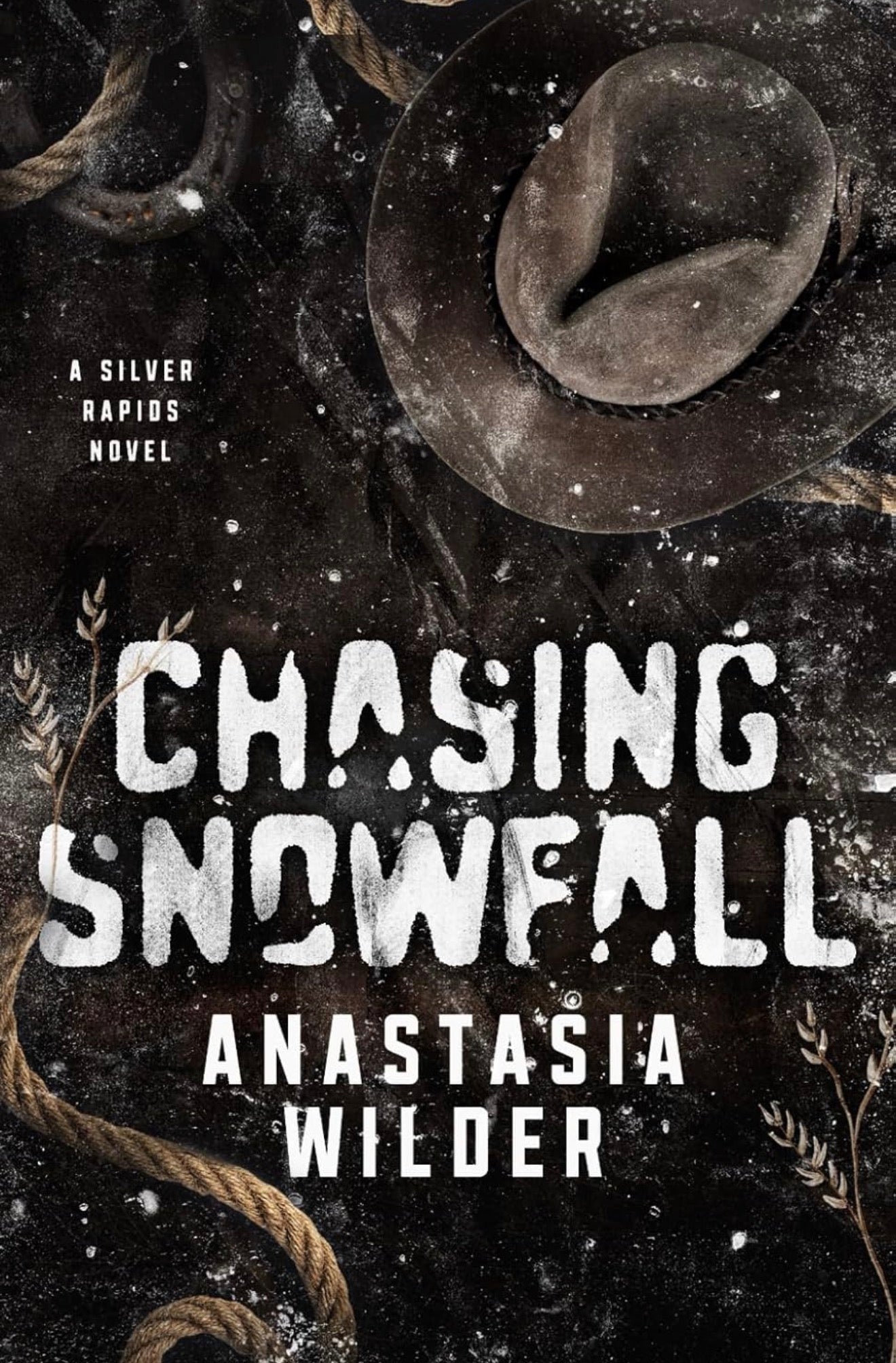 [Hand-Signed] Chasing Snowfall by Anastasia Wilder (Copy)