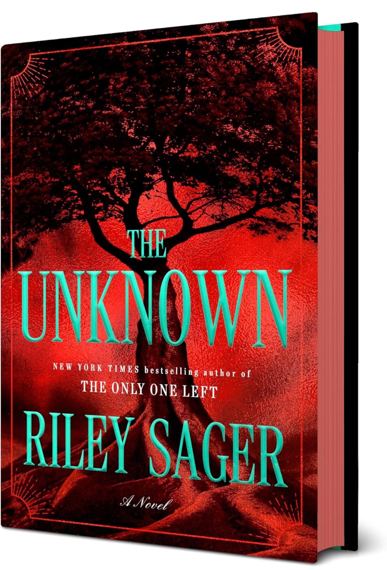 The Unknown by Riley Sager