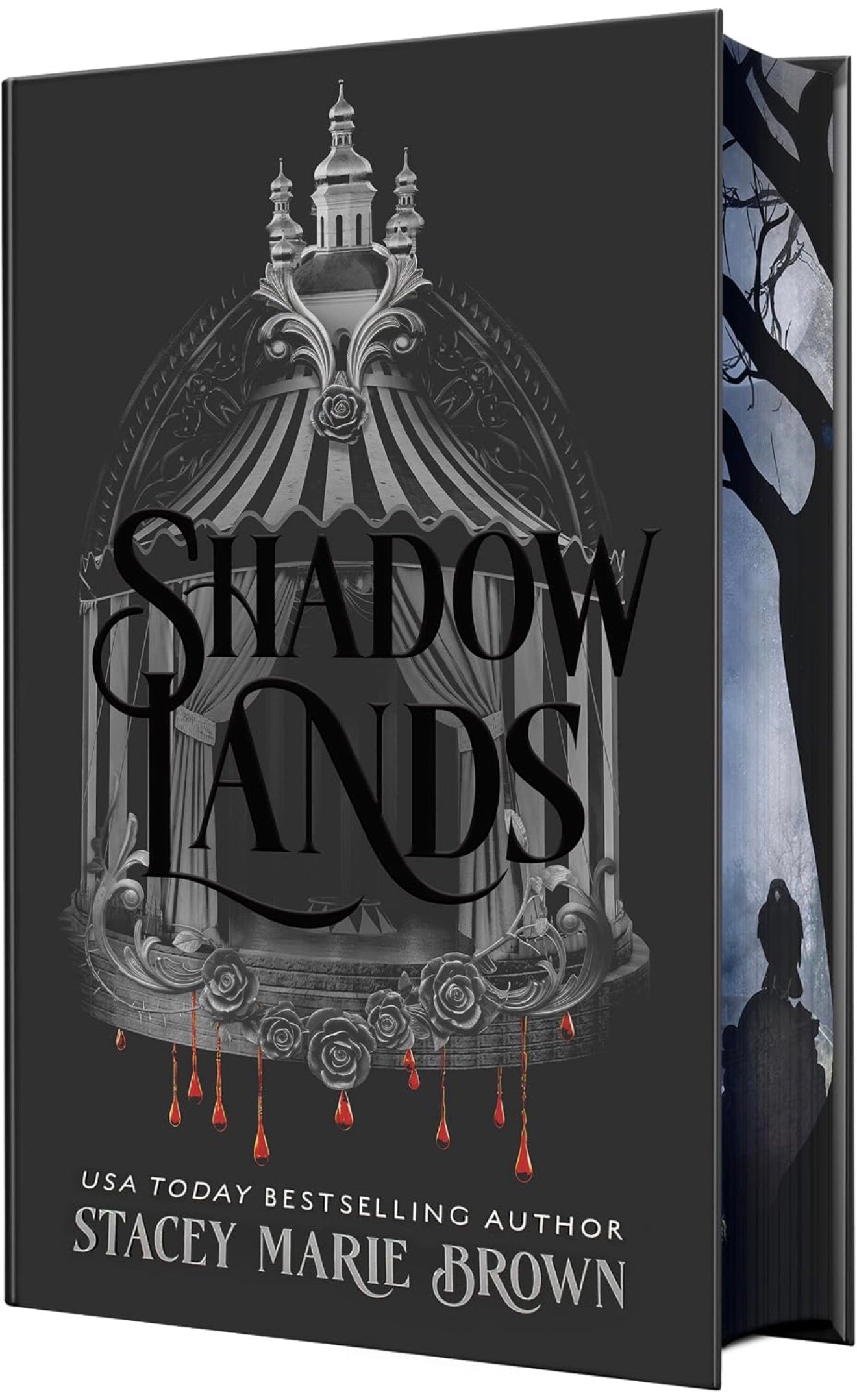 Shadow Lands by Stacey Marie Brown (Savage Lands #6)