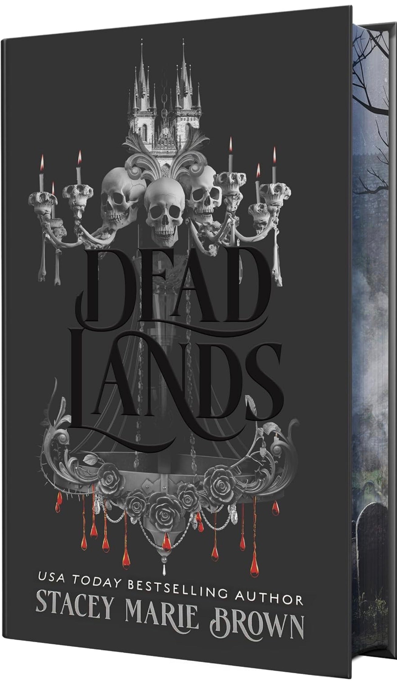 Dead Lands by Stacey Marie Brown (Savage Lands #3)