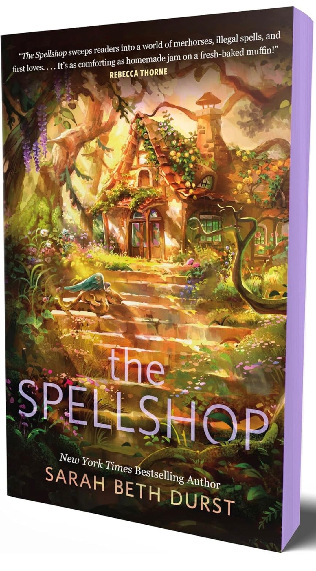 The Spellshop by Sarah Beth Durst (Deluxe Edition)