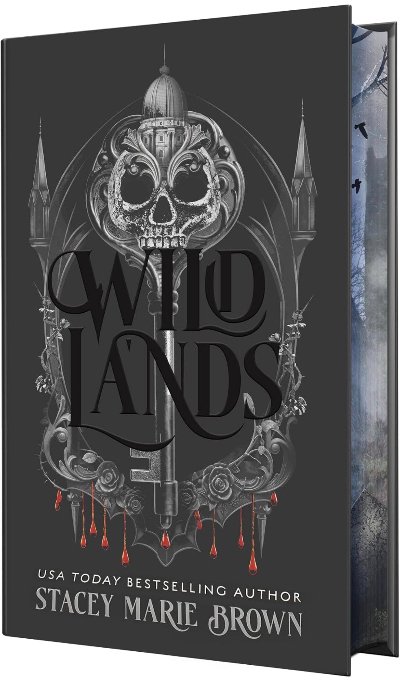 Wild Lands by Stacey Marie Brown (Savage Lands #2)