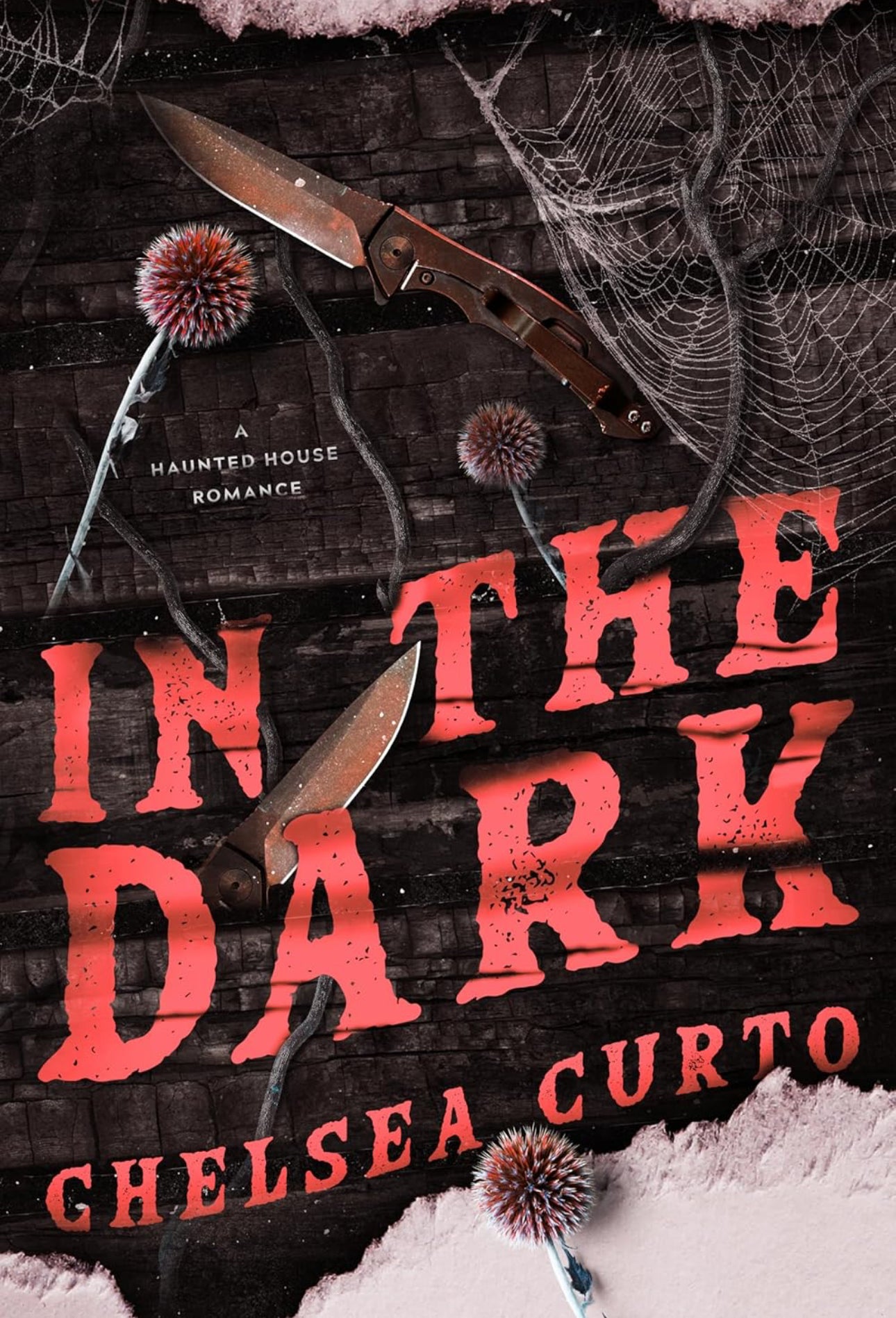 [Pre-Order][Hand-Signed] In the Dark by Chelsea Curto