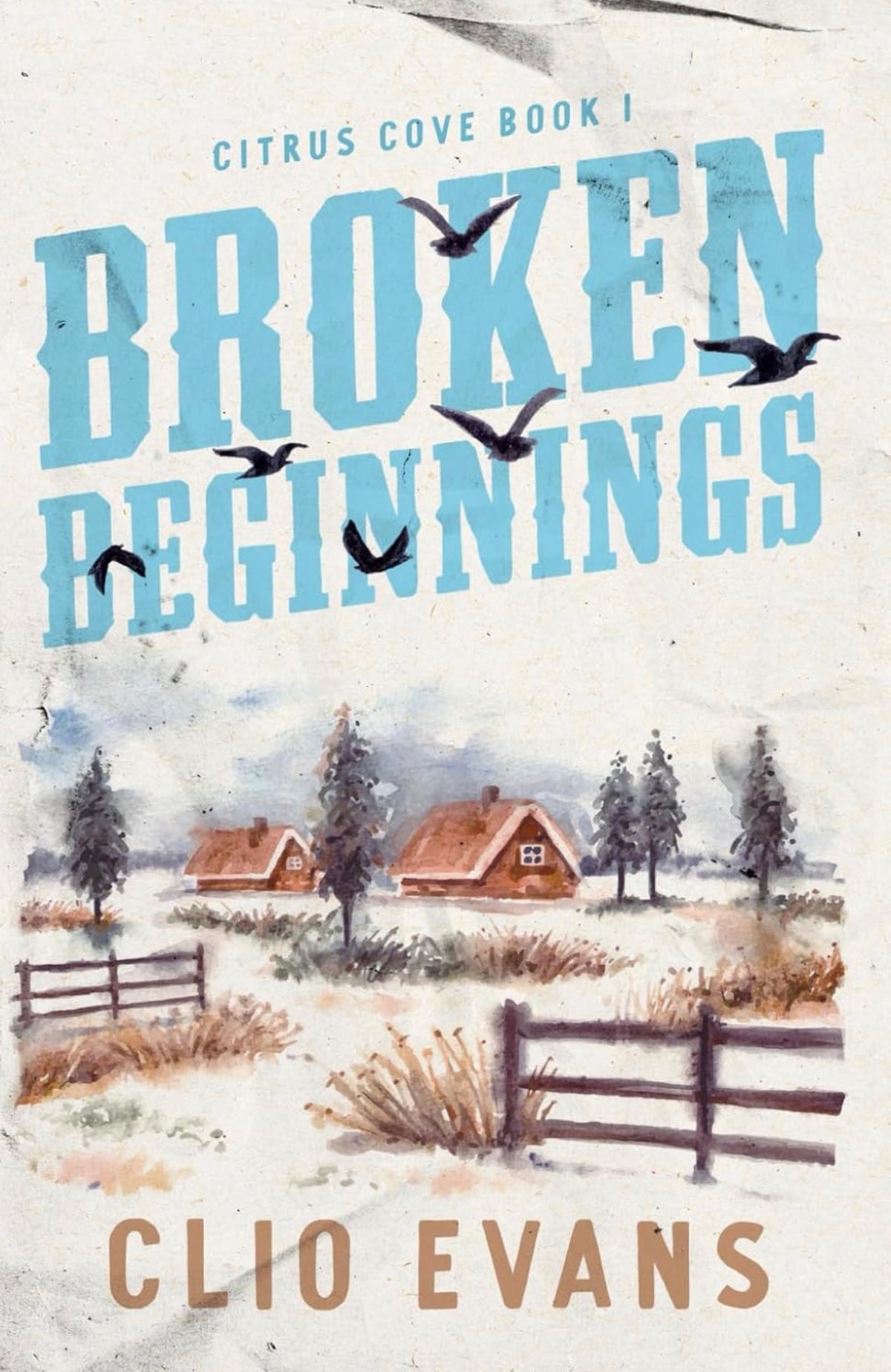 [Hand-Signed] Broken Beginnings (Citrus Cove #1)