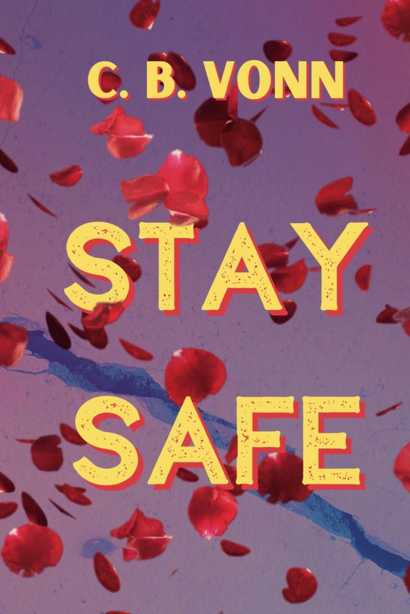 [Hand-Signed] Stay Safe by C B Vonn