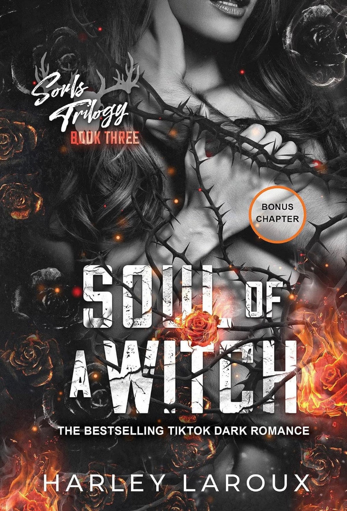 Soul Of A Witch by Harley Laroux (Book#3)