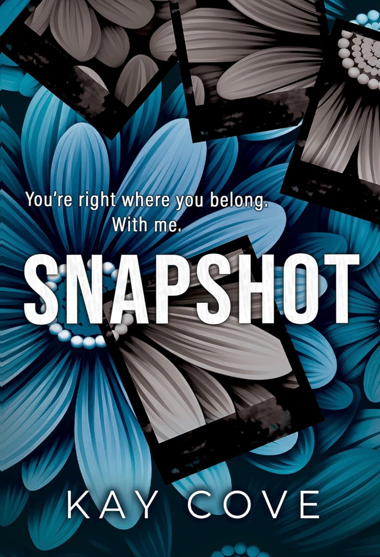 Snapshot by Kav Cove (Lessons in Love Book 2)