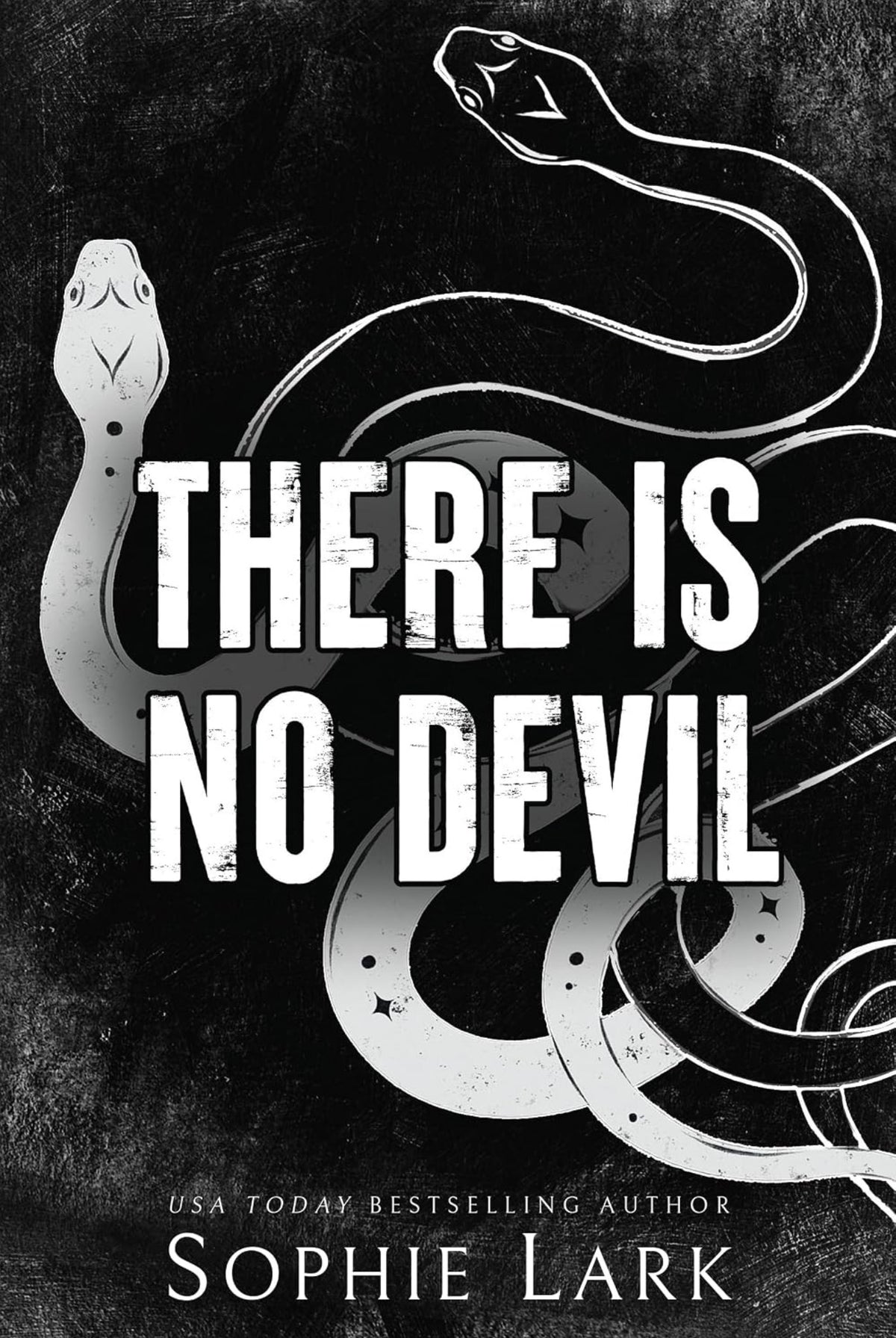 There Is No Devil by Sophie Lark (Sinners Duet #2)
