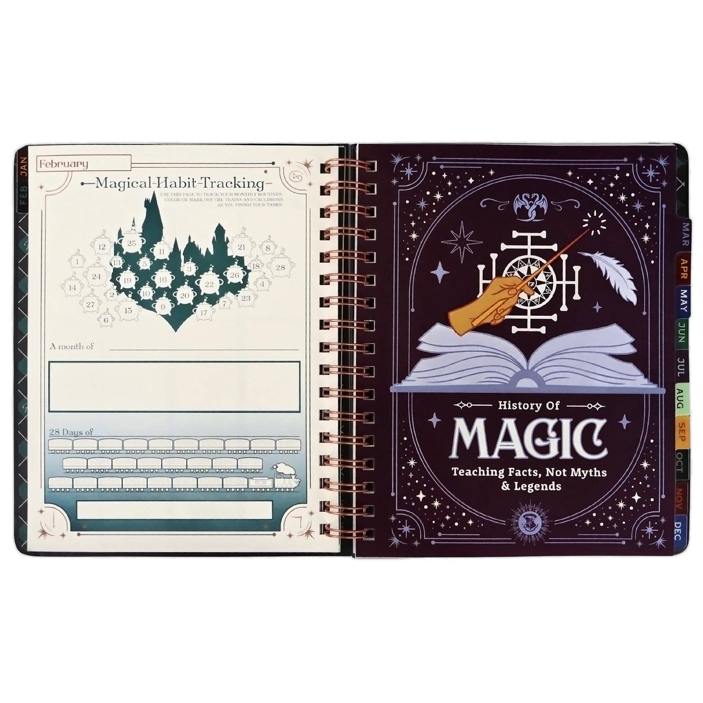 Harry Potter Return to Hogwarts 2027 Weekly Planner, Personal Organizer